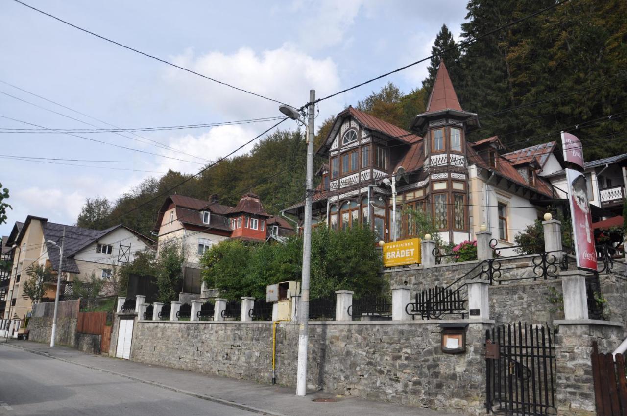Vila Bradet Buşteni エクステリア 写真