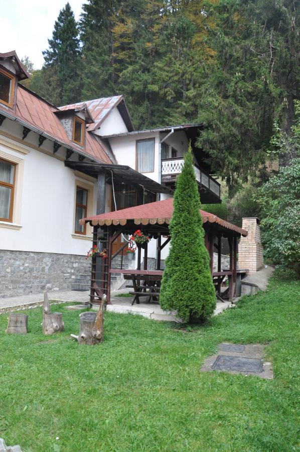 Vila Bradet Buşteni エクステリア 写真