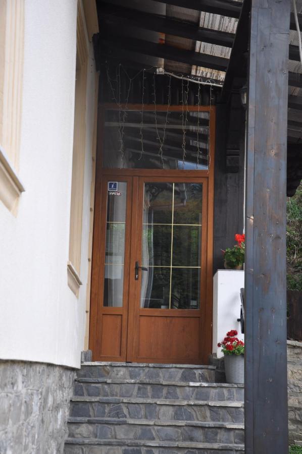 Vila Bradet Buşteni エクステリア 写真