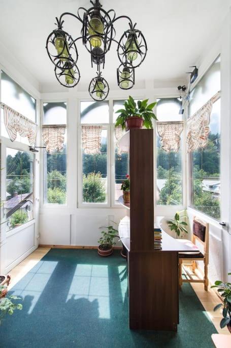 Vila Bradet Buşteni エクステリア 写真