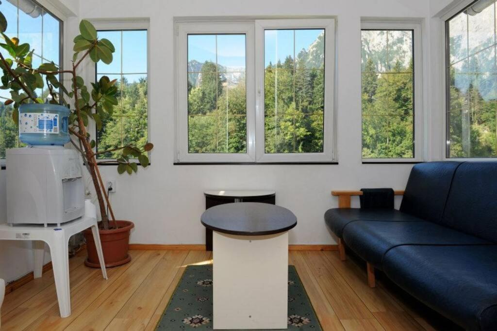 Vila Bradet Buşteni エクステリア 写真